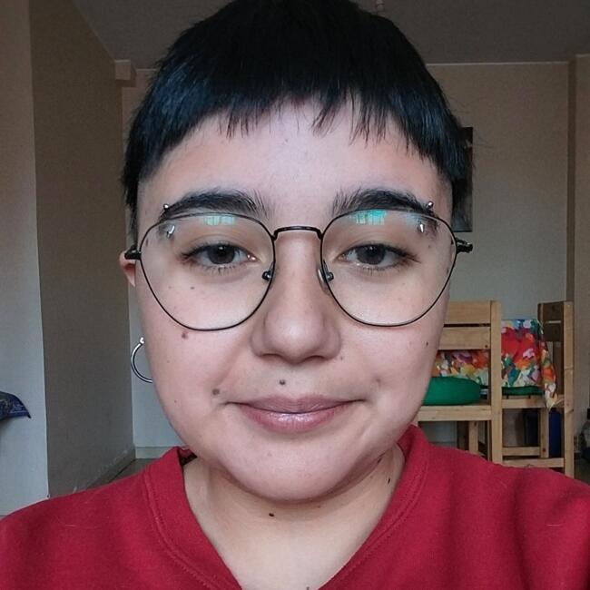 Niñera en Temuco: Luan