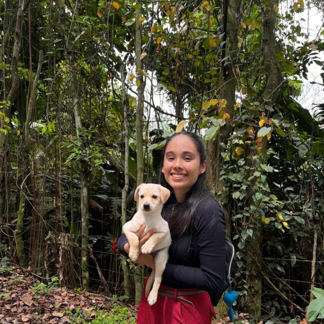 Babysitter in Floridablanca: Lorena
