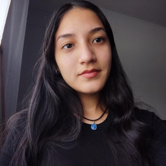 Babysitter in San Miguel: Daniela