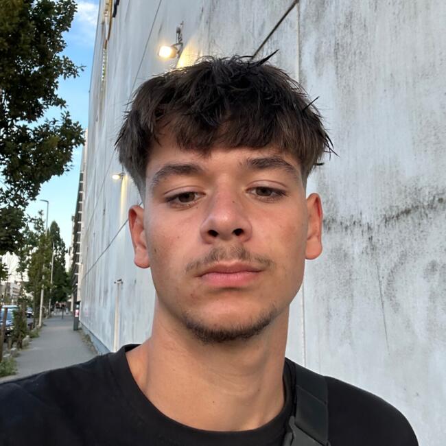 Babysitter in La Membrolle-sur-Longuenée: Paul