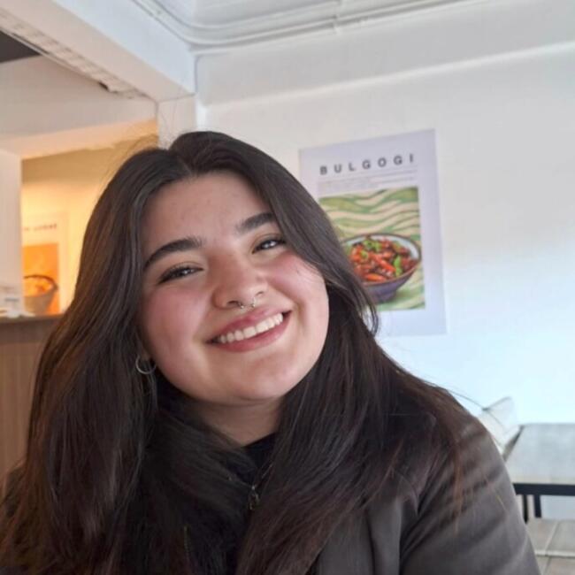 Babysitter in Concepción: Diana