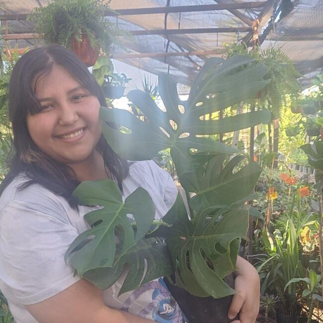 Babysitter in Hermosillo: Ana Laura