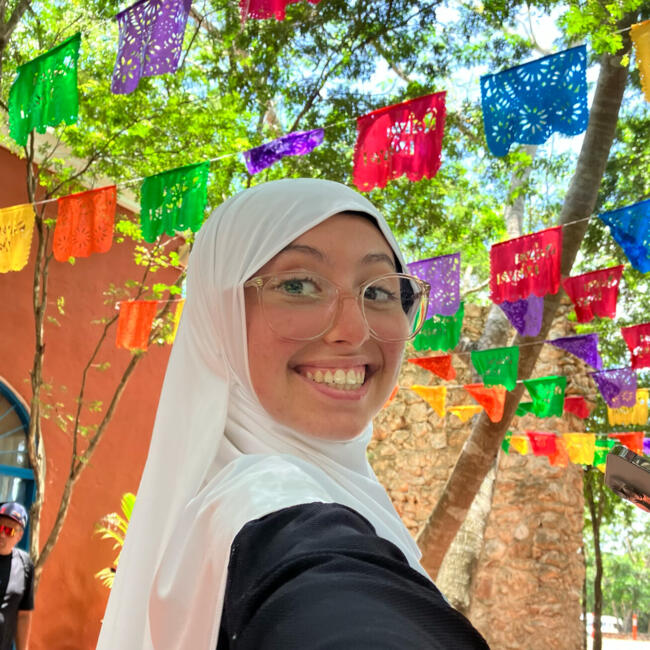 Babysitter in Franconville: Naïssa