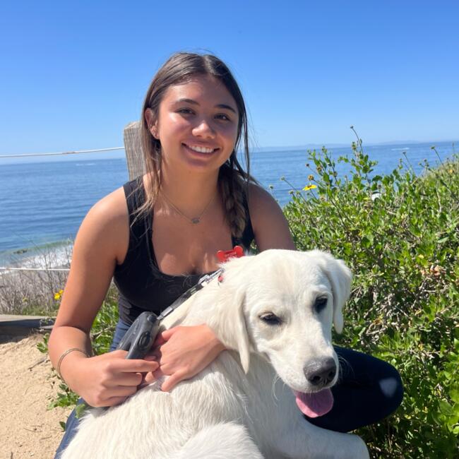 Babysitter στην περιοχή Irvine (California): Mariana