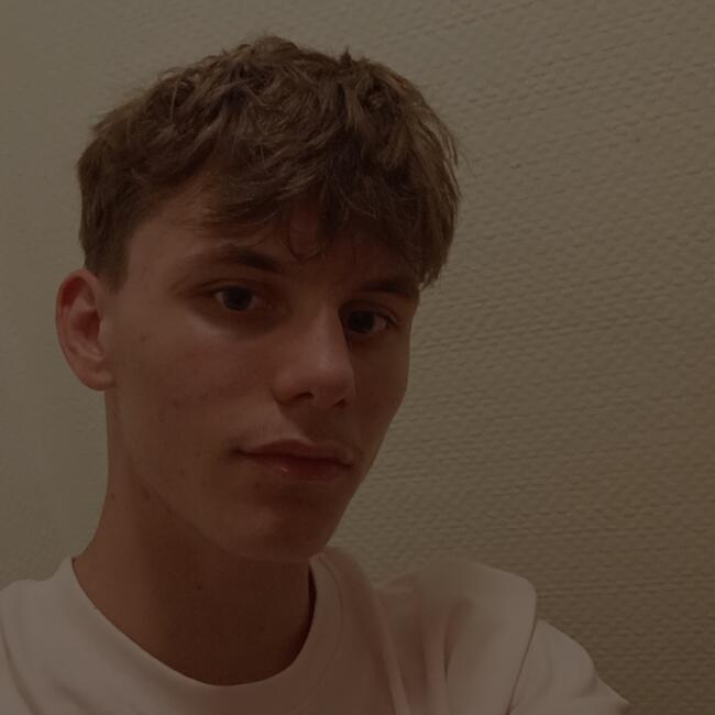 Babysitter in Cherbourg: Ethan