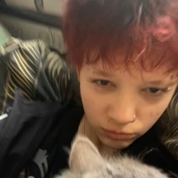 Babysitter in Uden: Noah