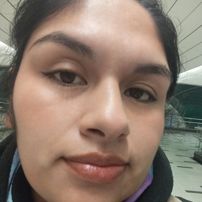 Babysitter in Renca: Corina