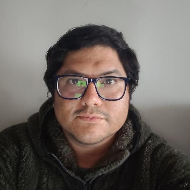 Babysitting job in Antofagasta: Felipe