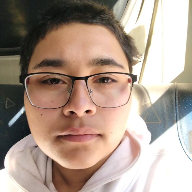 Niñera en Concepción: Asher Alejandro