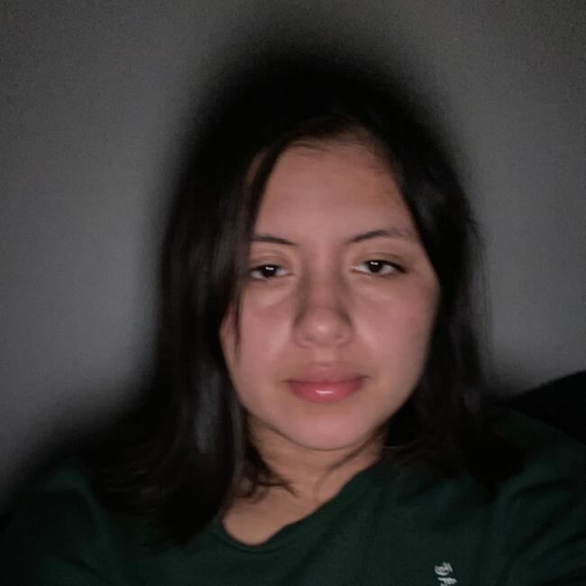 Babysitting job in Guatemala City: Angelli