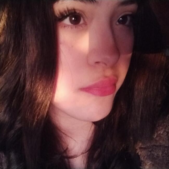 Babysitter in Temuco: Yasminne Almendra