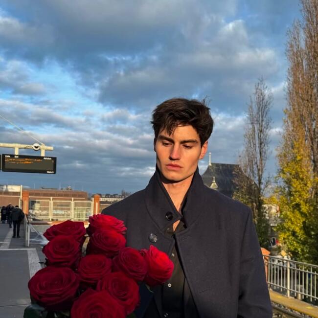 Babysitting job in Pākkam (Thiruvallur): Steven