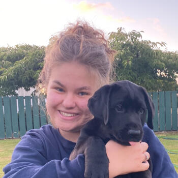 Babysitter in Blenheim: Madison