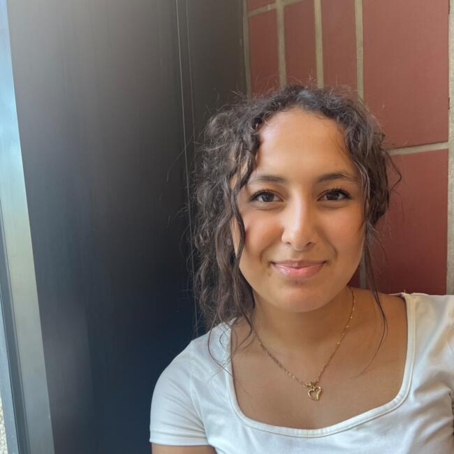 Babysitter in Saint-Nazaire: Chiraz