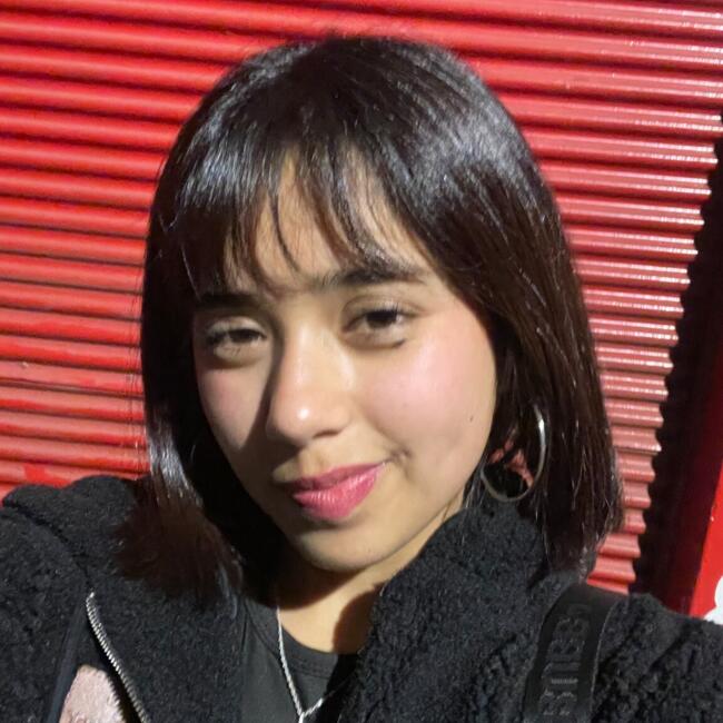 Babysitter in Melipilla: Javiera