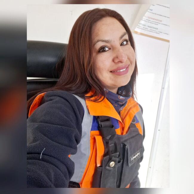 Δουλειά για babysitter στην περιοχή Calama: Carolina