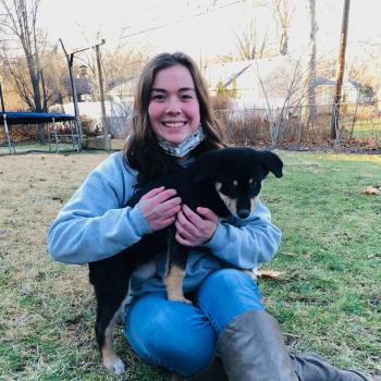 Babysitter in Olathe (Kansas): Madison