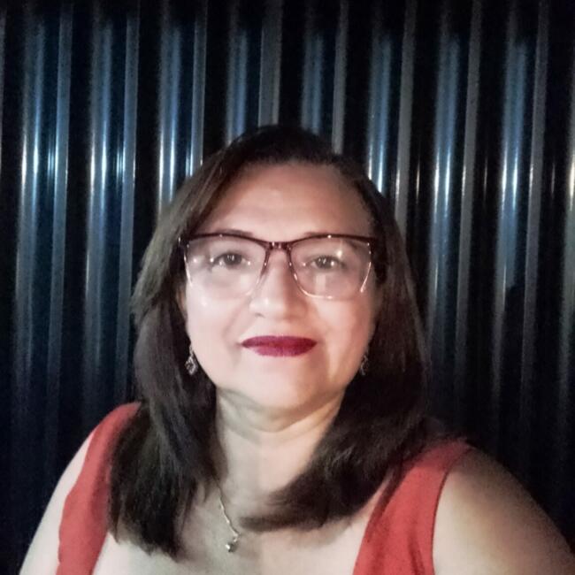 Babá em Sao Jose do Rio Preto: Erinalda