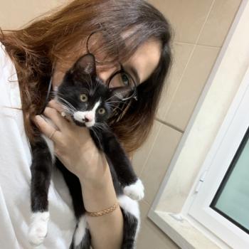 Odivelas的保母: Diana