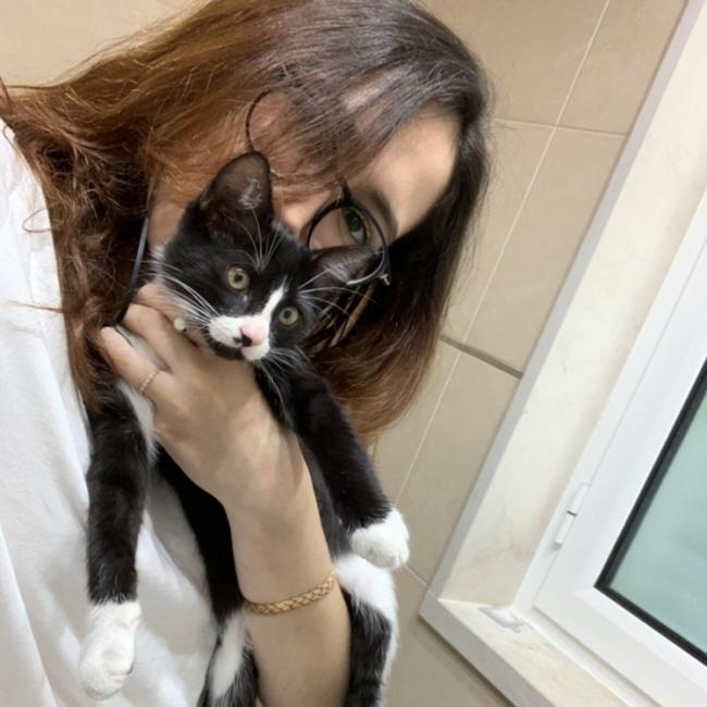 Odivelas的保母: Diana