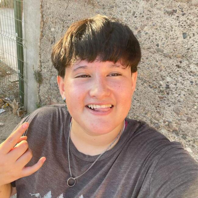 Babysitter in Quillota: Alex