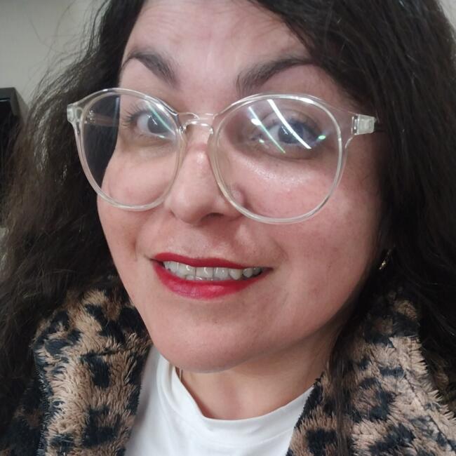 Babysitter in Santiago: Litzy Vergara