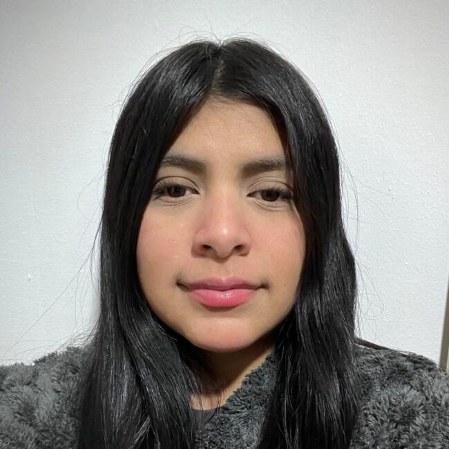 Babysitter in Santiago: Estefany diaz