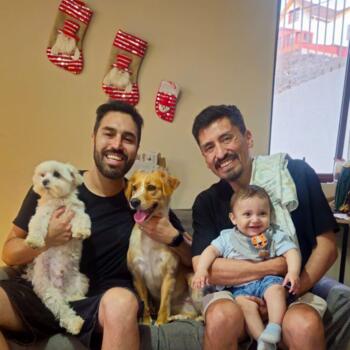 Babysitting job in Antofagasta: babysitting job Francisco