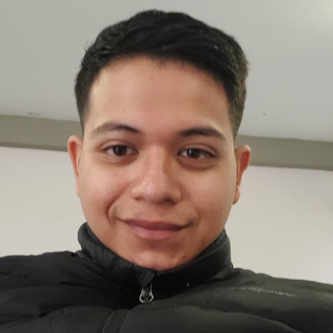 Niñera en Lomas de San Agustín: Angel