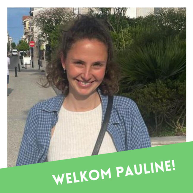 Childcare agency in Nazareth: BOENK!