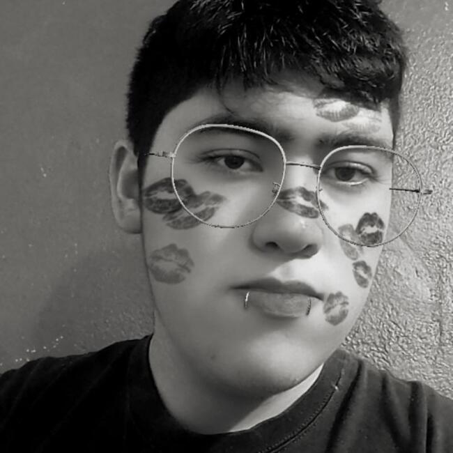 Babysitter in Ciudad Nezahualcoyotl: Erick