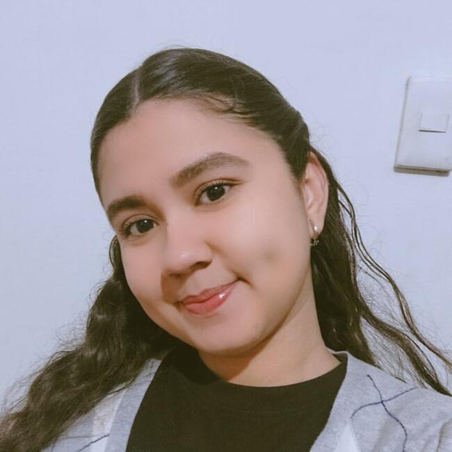 Babysitter in Santiago: Ariany