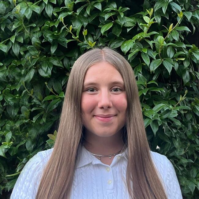 Babysitter in Trescore Balneario: Diana