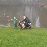 Parent Waterford: babysitting job Jo