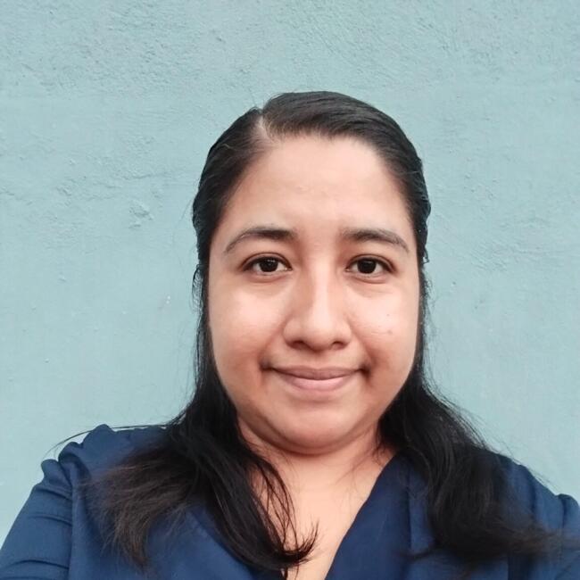 Niñera en Mérida: Luz Elena