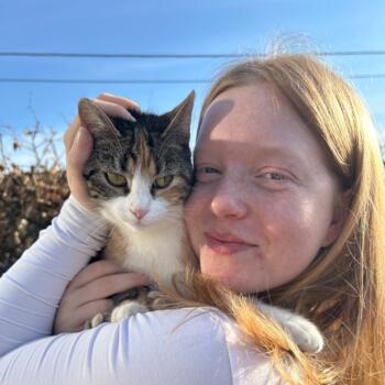 Babysitter Boortmeerbeek: Mira