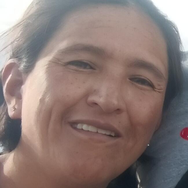 Babysitter in Calama: Dana