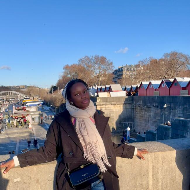 Babysitter in Tours: Awa