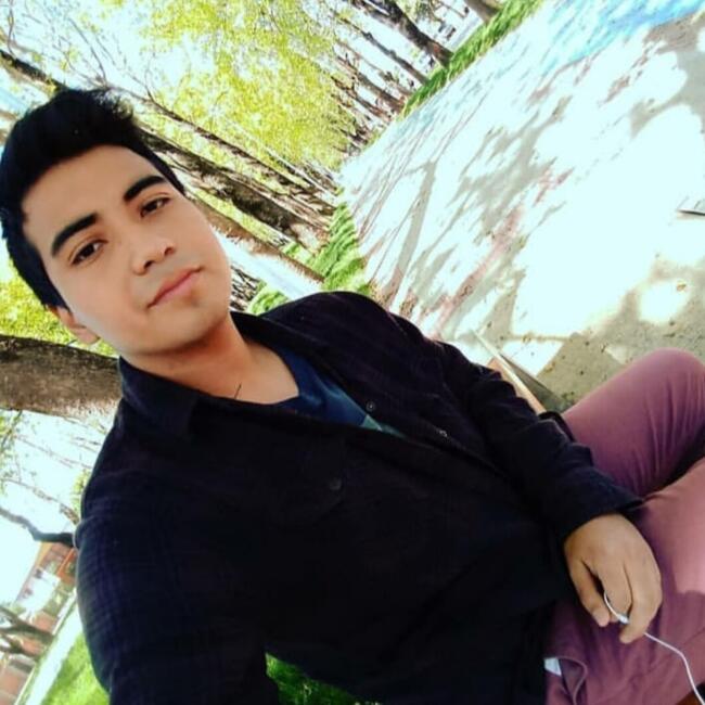 Babysitter in La Pintana: Francisco