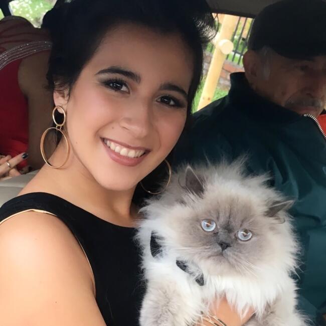 Babysitter in Santiago: Cecilia Belen
