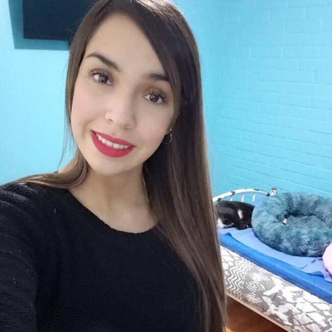 Babysitting job in San Bernardo: Claudia