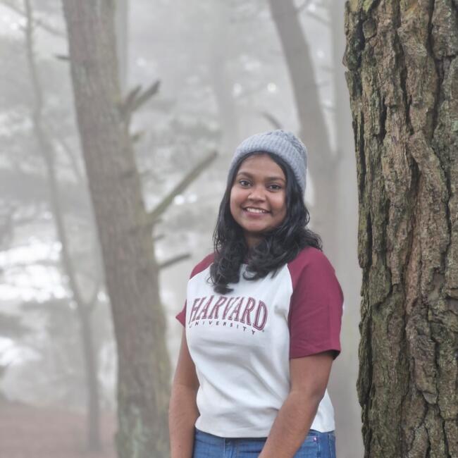 Babysitter in Dublin: Parvathy Narikkuzhiyil Ajith