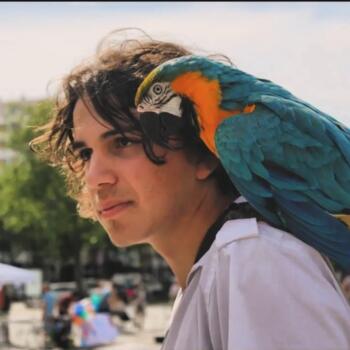 Babysitter in Lanester: Martin