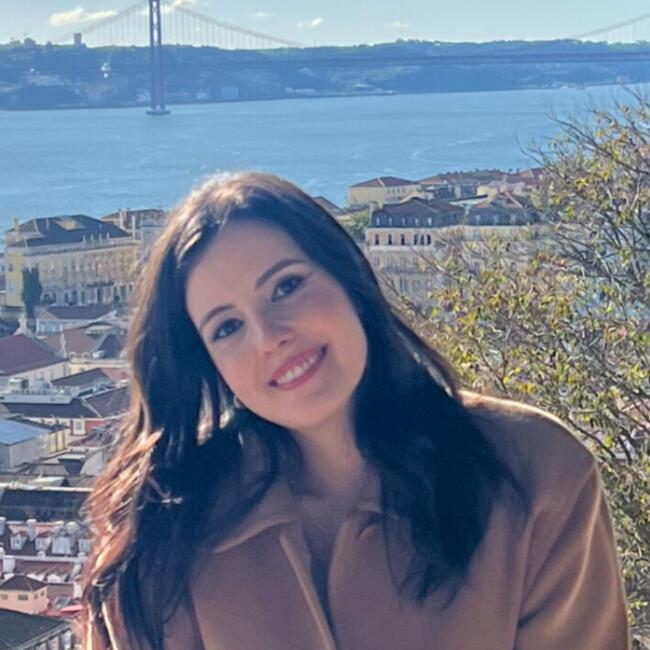 Babysitting job in Matosinhos Municipality: Sara