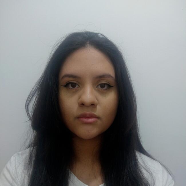 Babysitting job in São Paulo (São Paulo): Jessica