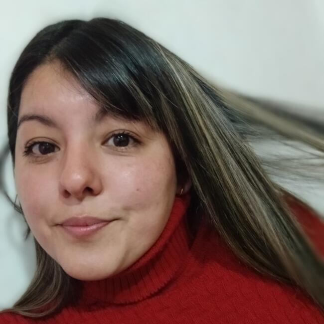 Niñera en Ciudad del Libertador General San Martín: Joana