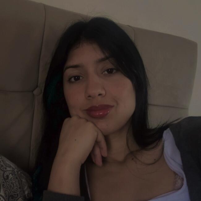 Babysitting job in Praia Grande: Carol