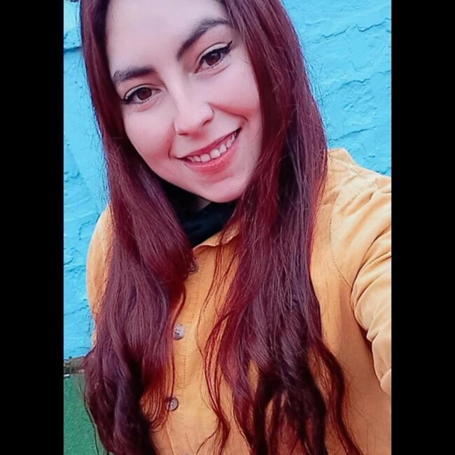 Babysitter in Rancagua: Catalina Carquin.