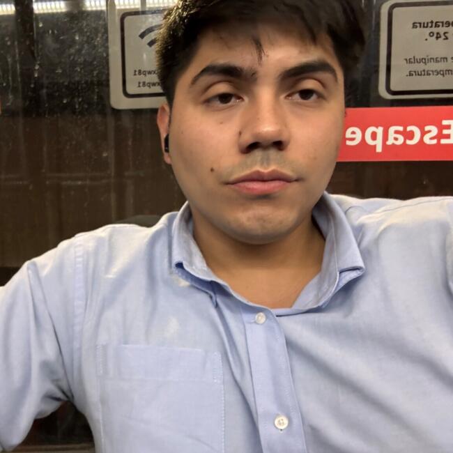 Babysitting job in Santiago: Bastian alarcon