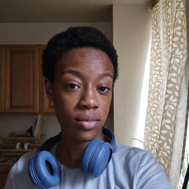 Babysitting job in The Bronx: Anicaha